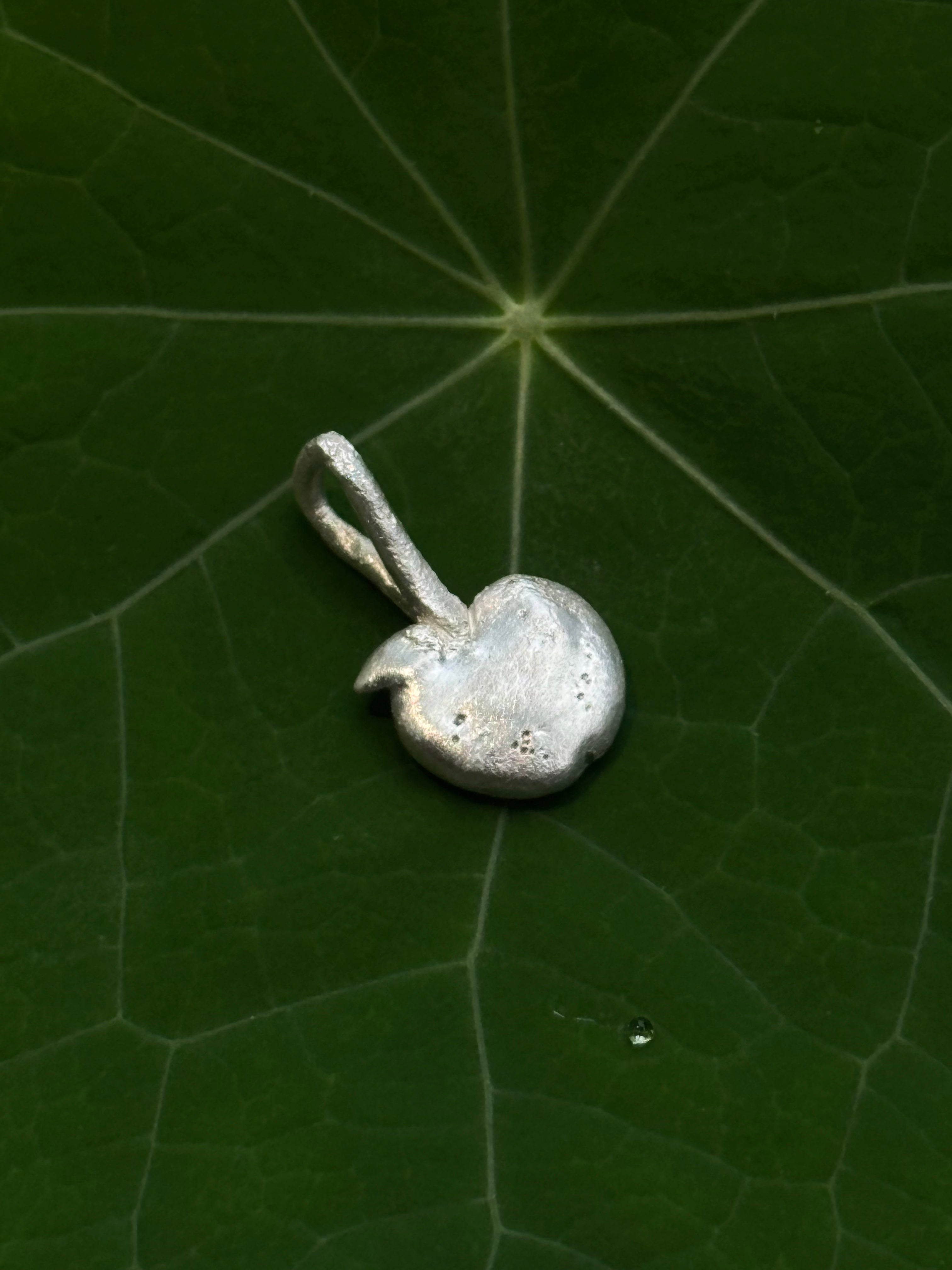 Apple Pendant - 1/100